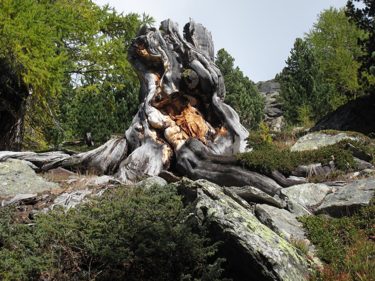 Ferienhaus Alea Saas-Grund Esterno foto